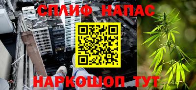 сатива Пугачёв